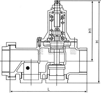 200P可調(diào)式減壓閥結(jié)構(gòu)圖
