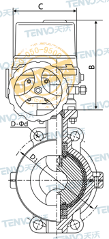 D971F46對夾式電動襯氟蝶閥結構圖