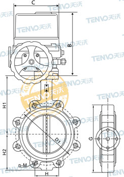 AL型對(duì)夾式電動(dòng)軟密封蝶閥結(jié)構(gòu)圖