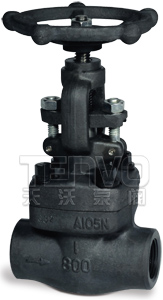 內(nèi)螺紋鍛鋼截止閥實物圖