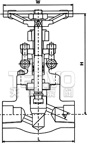 螺紋_承插焊鍛鋼截止閥結(jié)構(gòu)圖
