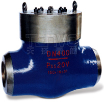 H64Y焊接式電站止回閥實物圖