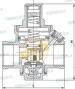 活塞支管減壓閥實物圖