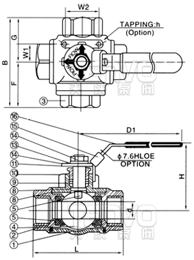 Q15F內(nèi)螺紋三通球閥結(jié)構(gòu)圖
