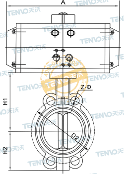 對(duì)夾式氣動(dòng)軟密封蝶閥結(jié)構(gòu)圖