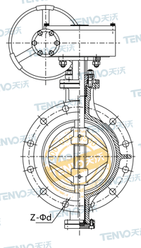 法蘭式多層次三偏心金屬硬密封蝶閥結(jié)構(gòu)圖