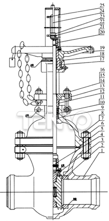 核島雙閘板閘閥結(jié)構(gòu)圖
